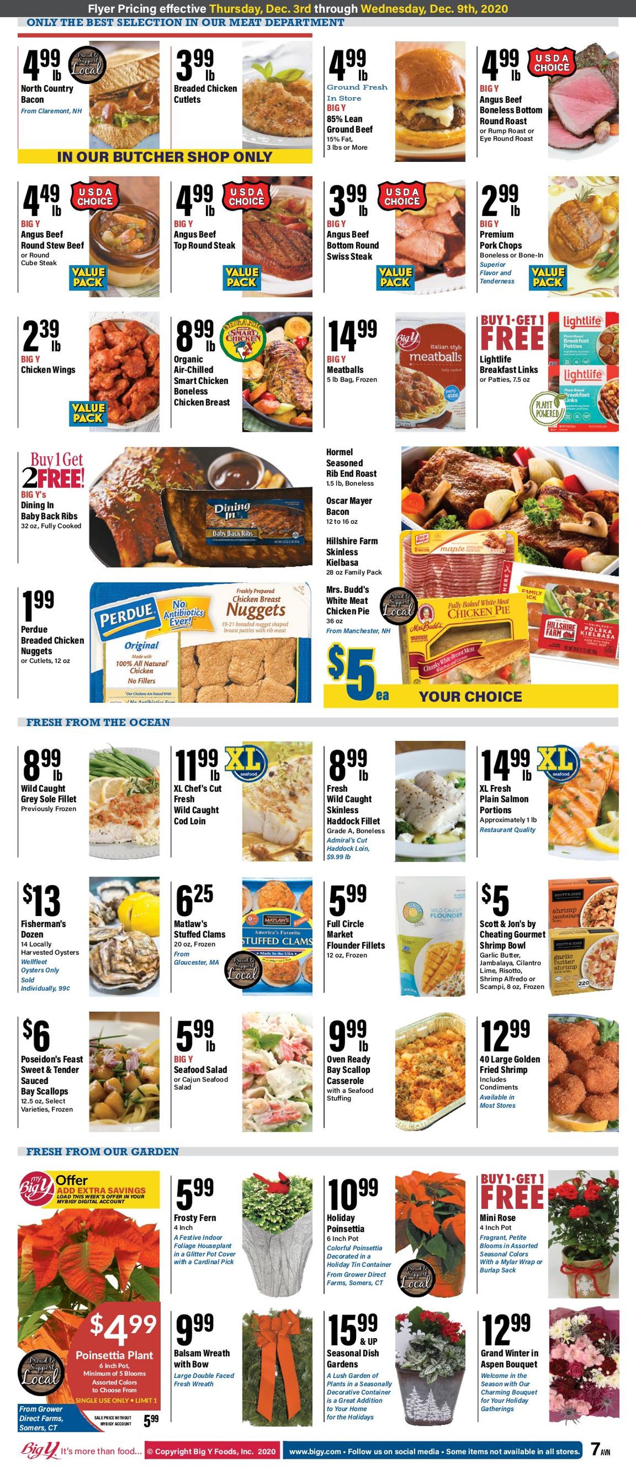 Catalogue Big Y from 12/03/2020