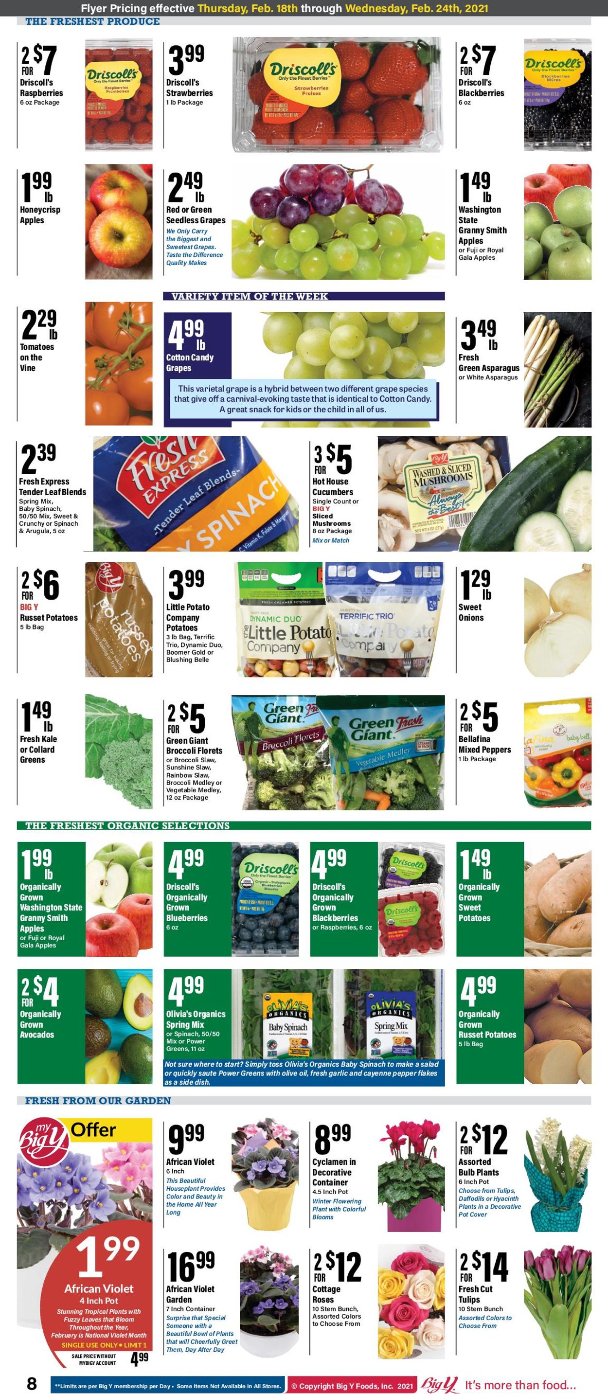 Catalogue Big Y from 02/18/2021