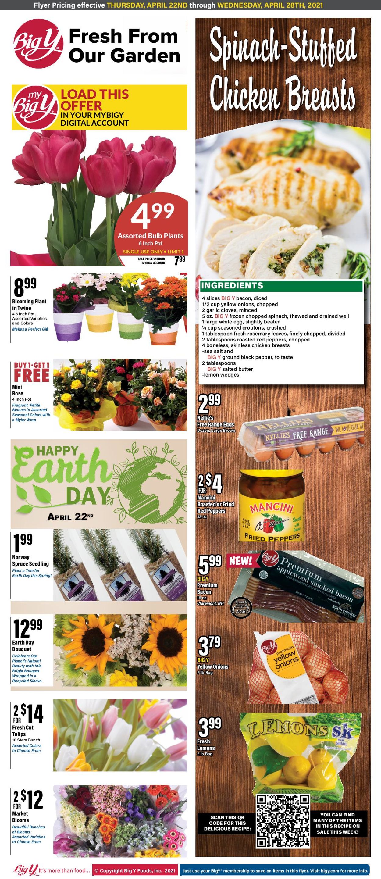 Catalogue Big Y from 04/22/2021