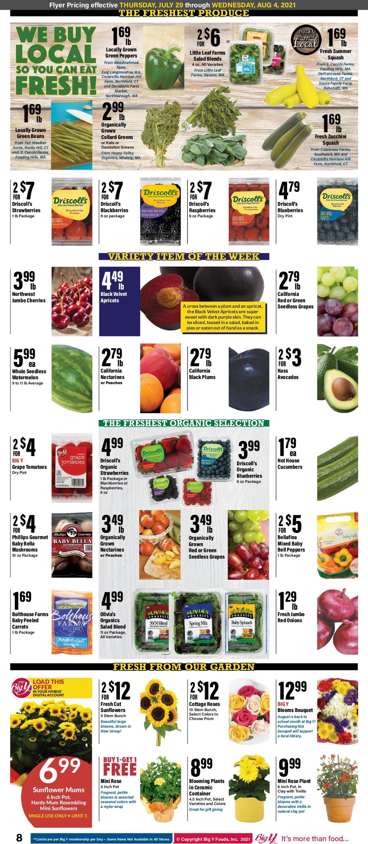 Catalogue Big Y from 07/29/2021