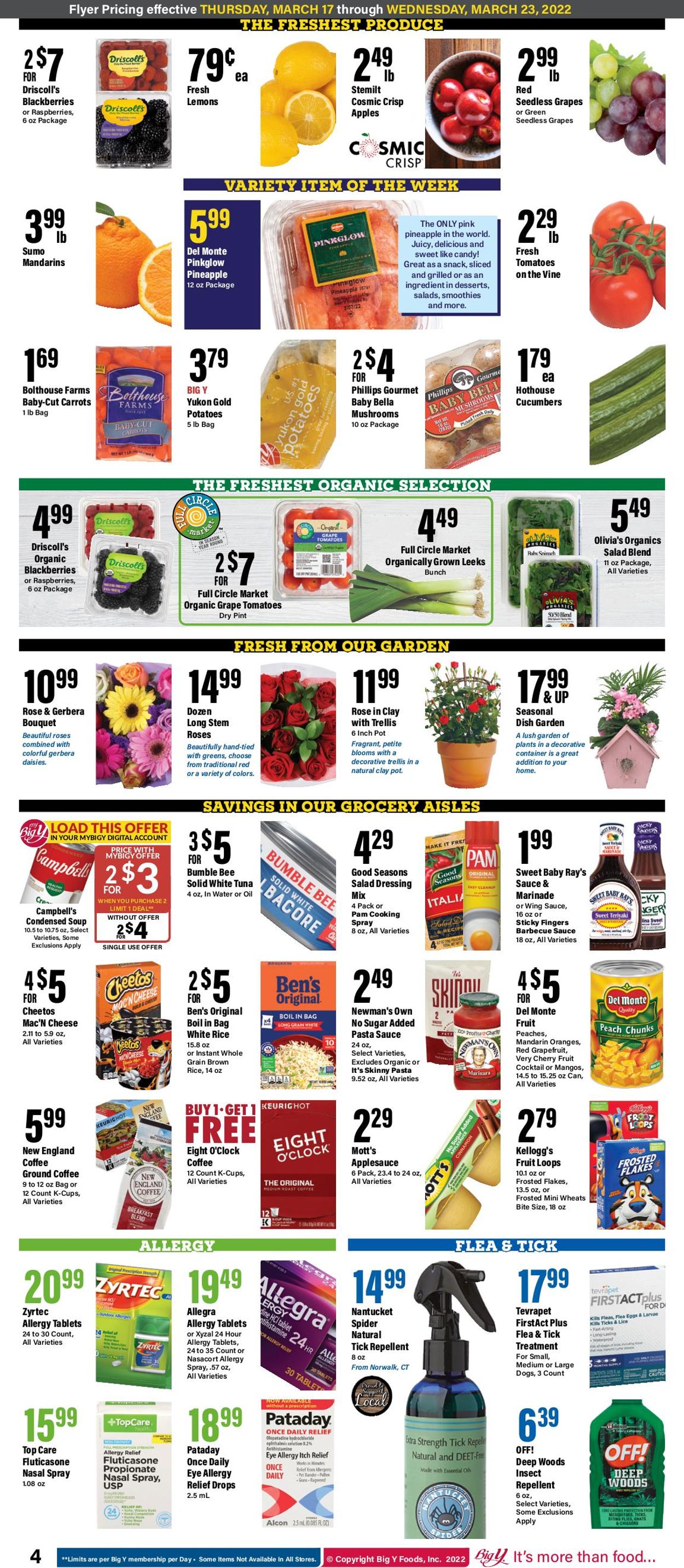 Catalogue Big Y from 03/17/2022