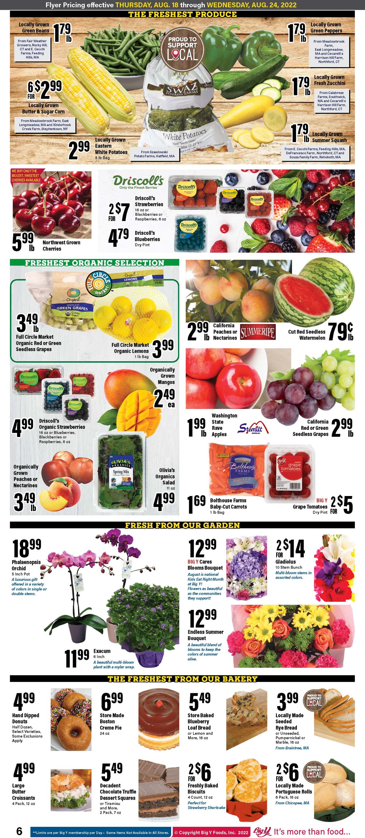 Catalogue Big Y from 08/18/2022