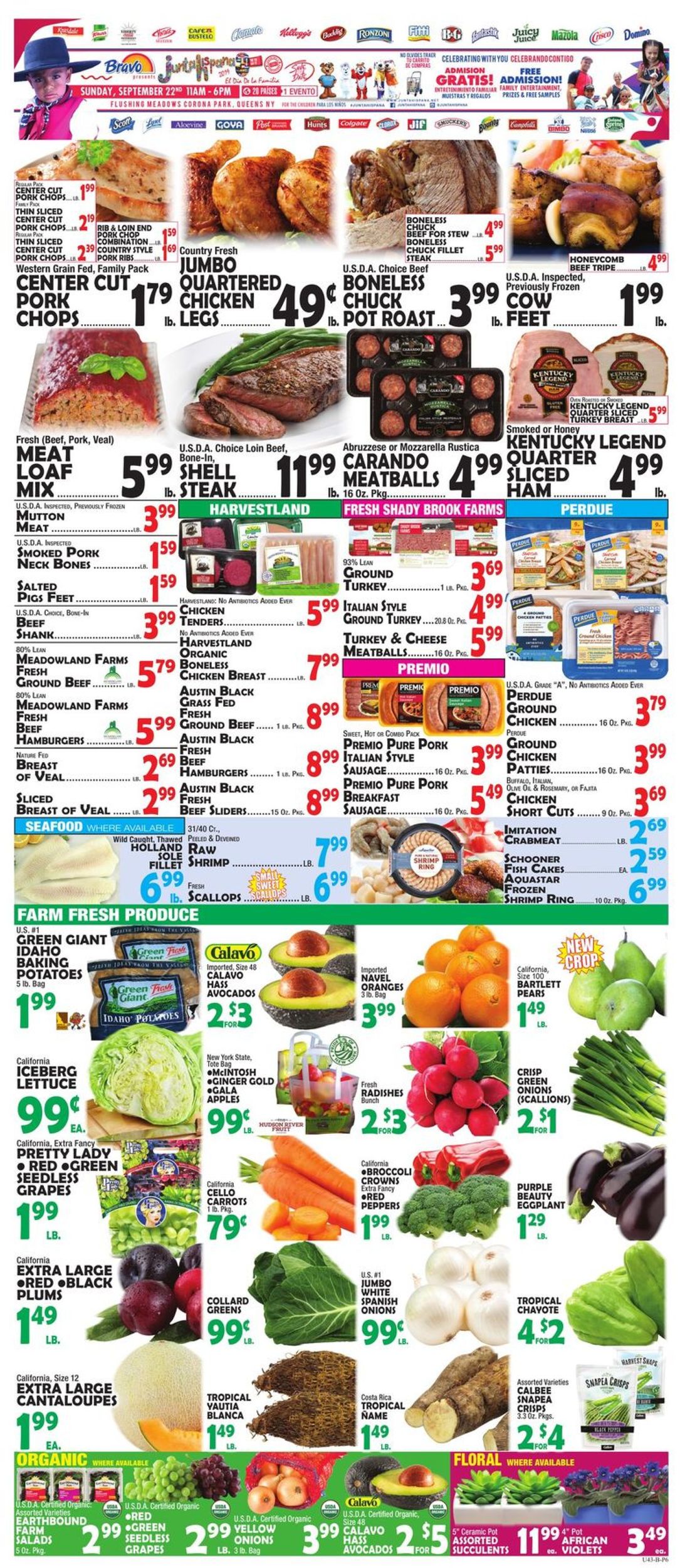 Catalogue Bravo Supermarkets from 09/13/2019