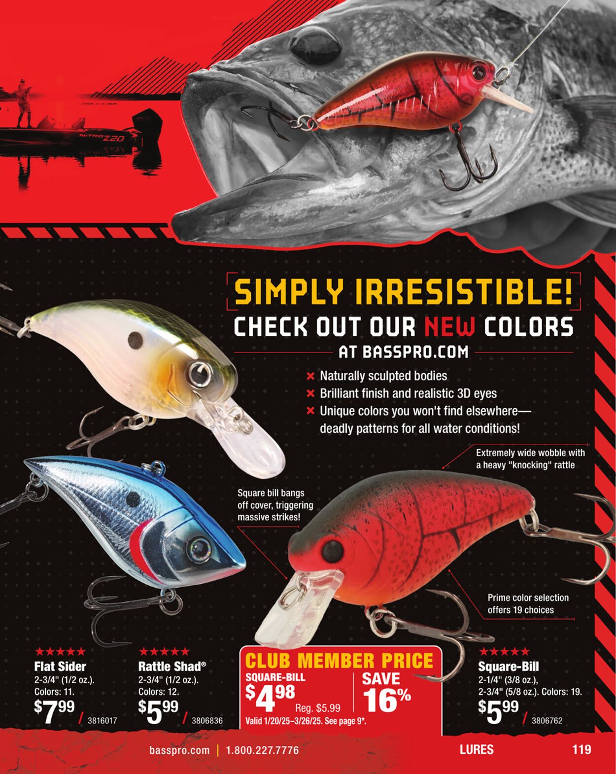 Catalogue Cabela's from 01/31/2025