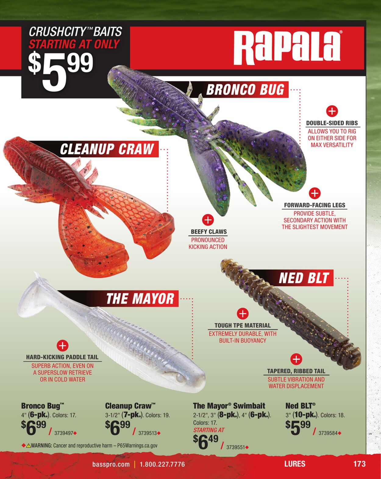 Catalogue Cabela's from 01/31/2025