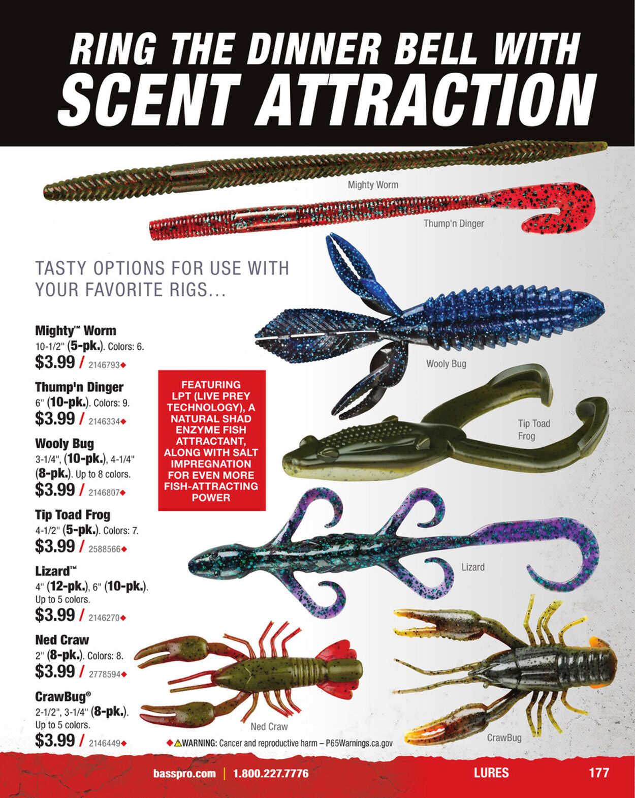 Catalogue Cabela's from 01/31/2025