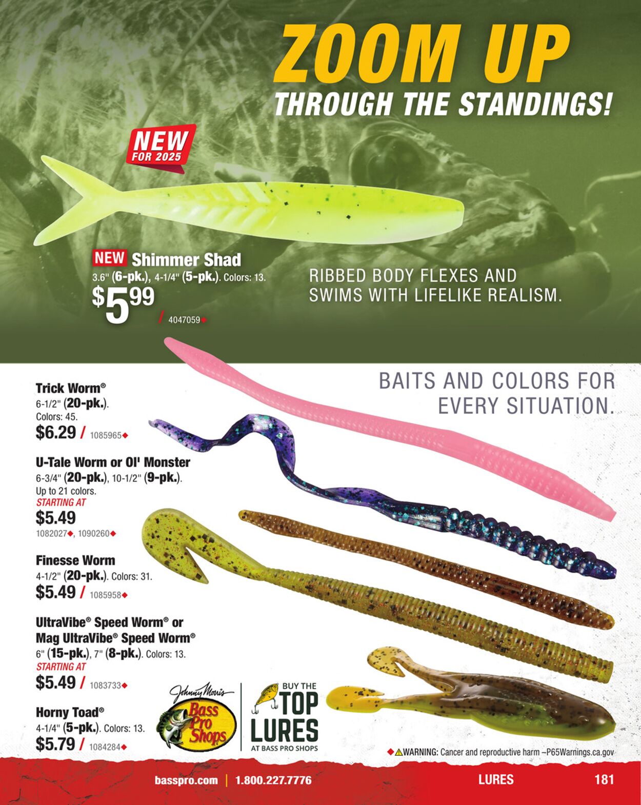 Catalogue Cabela's from 01/31/2025