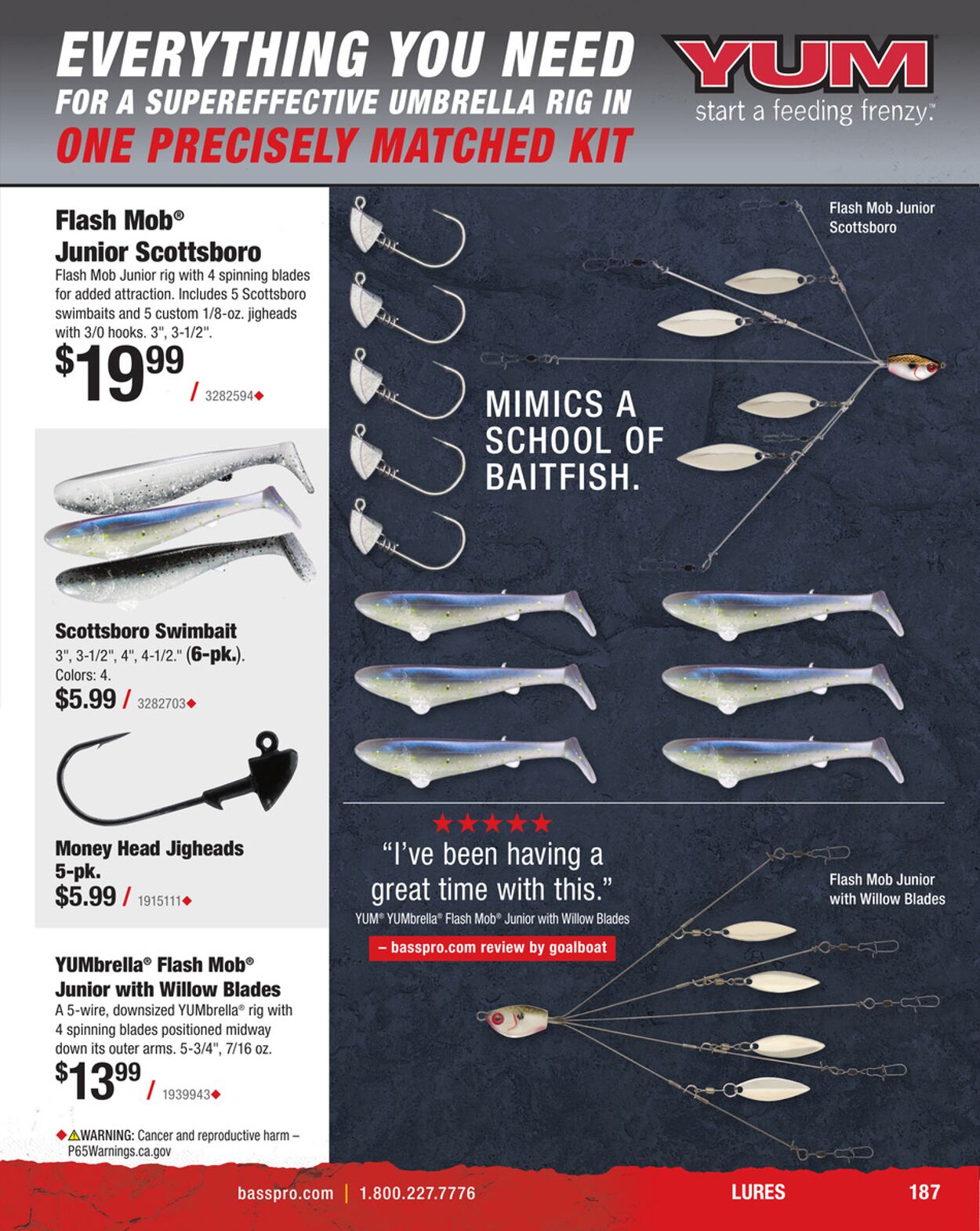 Catalogue Cabela's from 01/31/2025