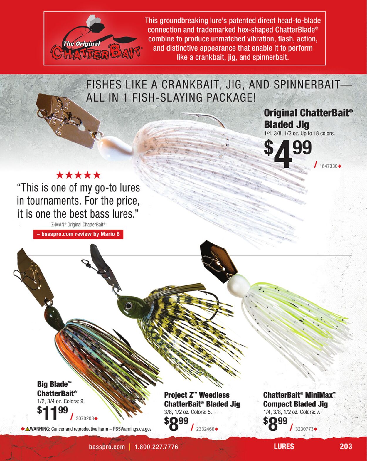 Catalogue Cabela's from 01/31/2025