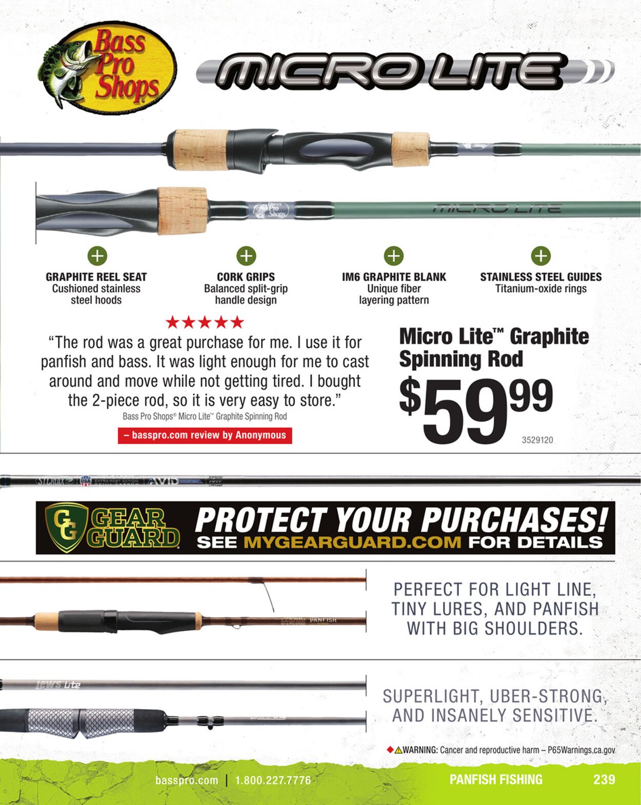 Catalogue Cabela's from 01/31/2025