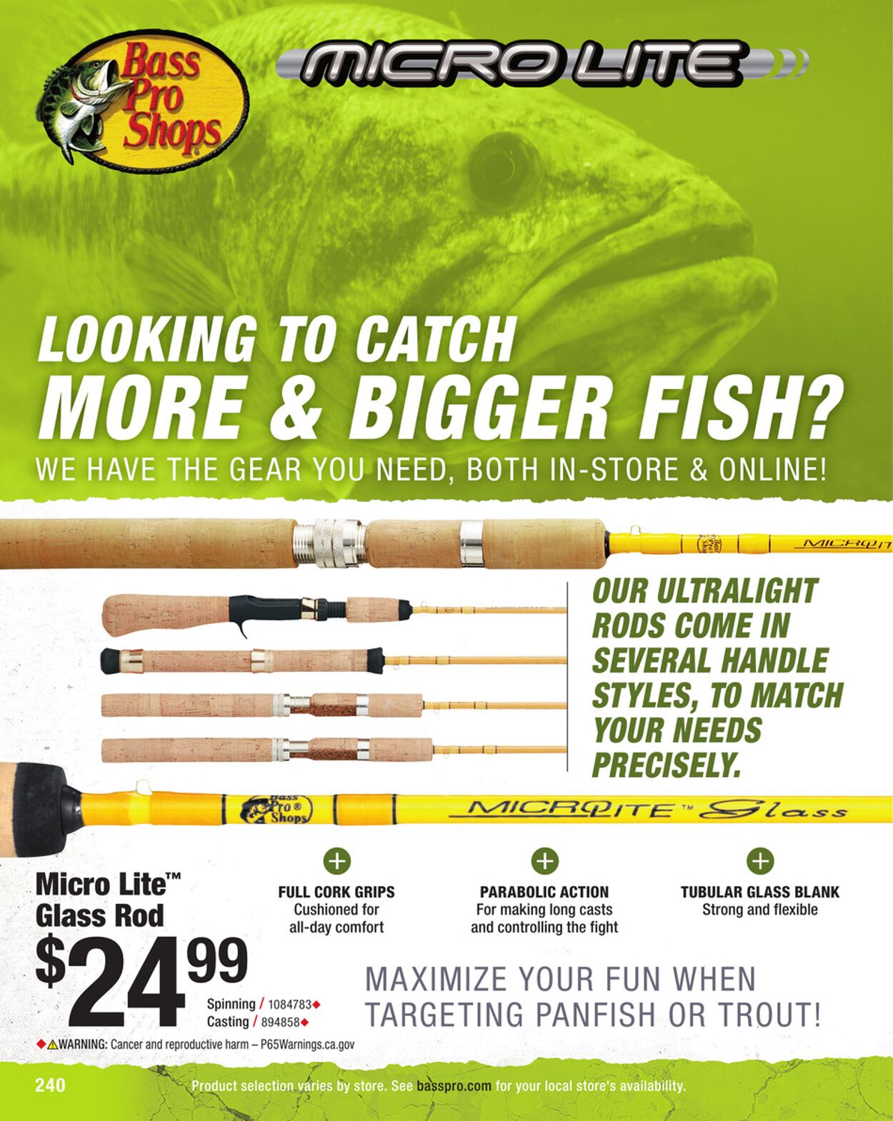 Catalogue Cabela's from 01/31/2025