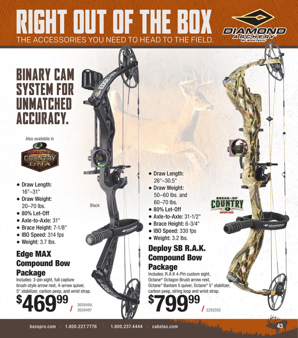 Catalogue Cabela's from 08/20/2025