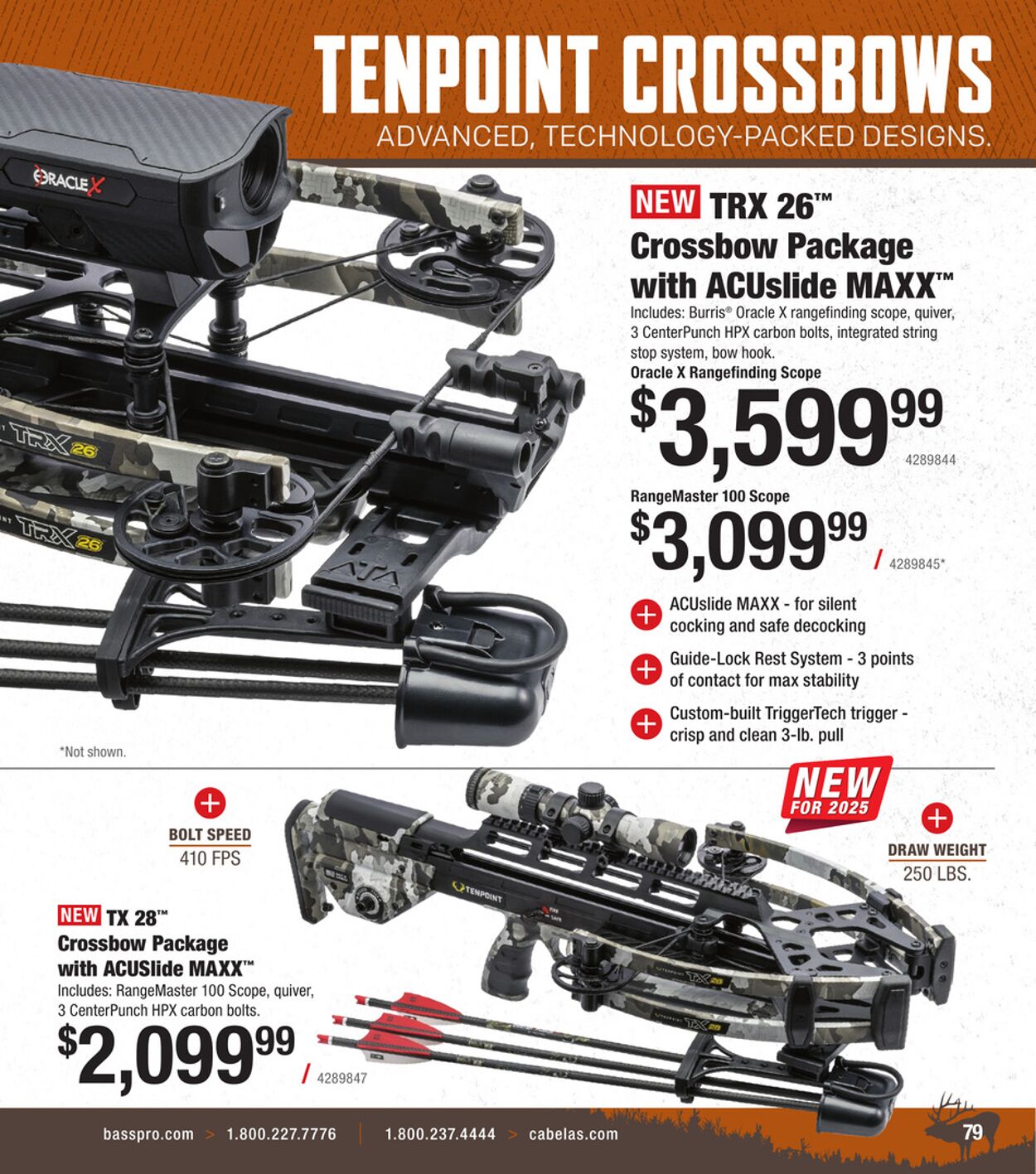 Catalogue Cabela's from 08/20/2025