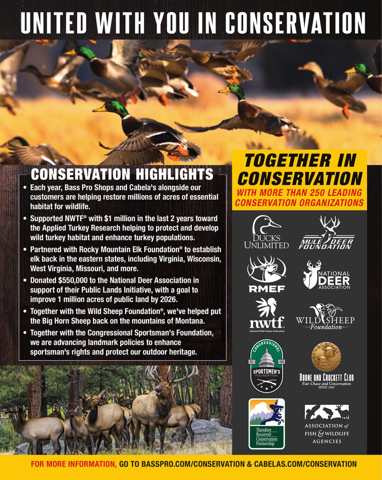 Catalogue Cabela's from 09/03/2025