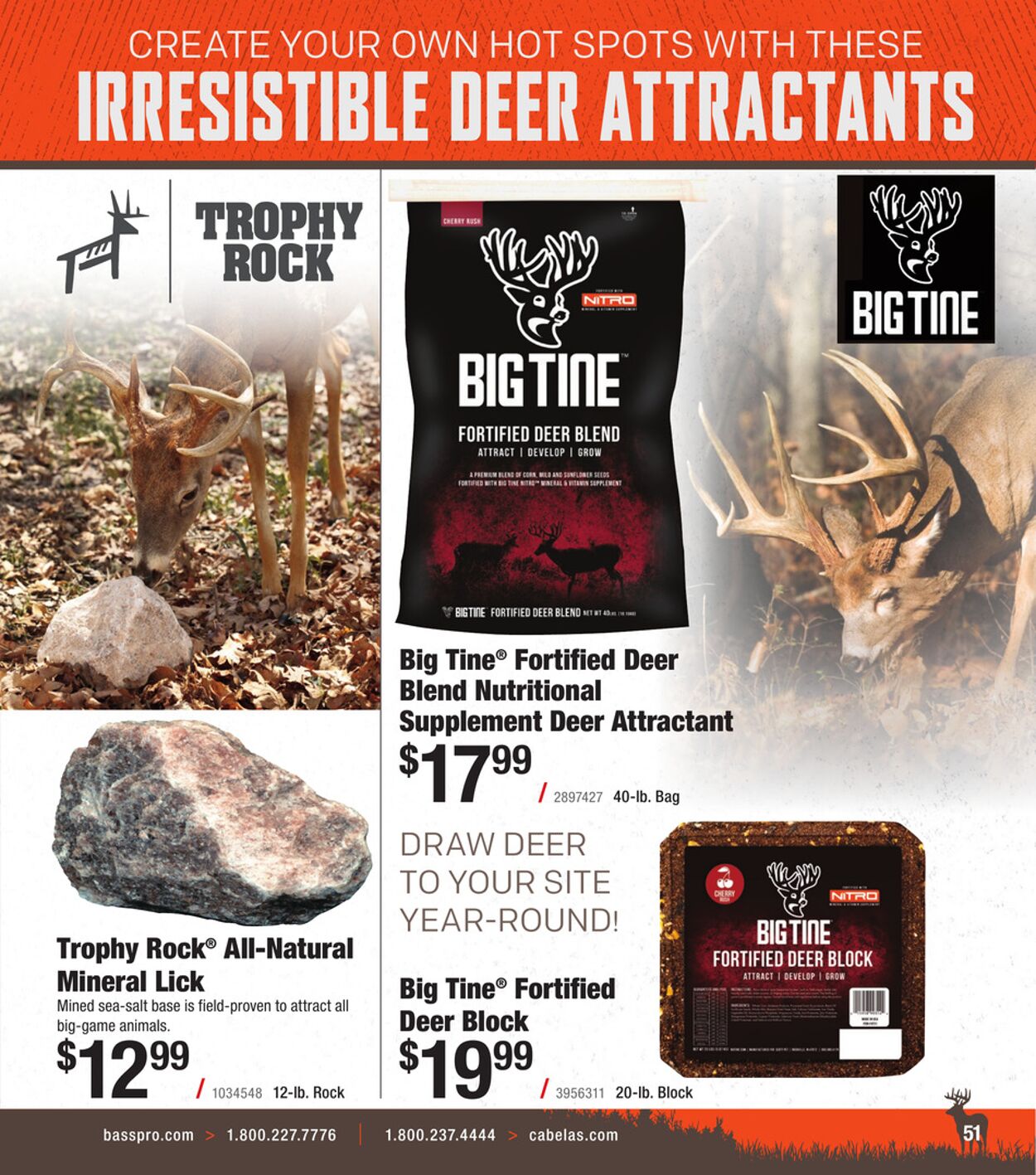 Catalogue Cabela's from 08/31/2025