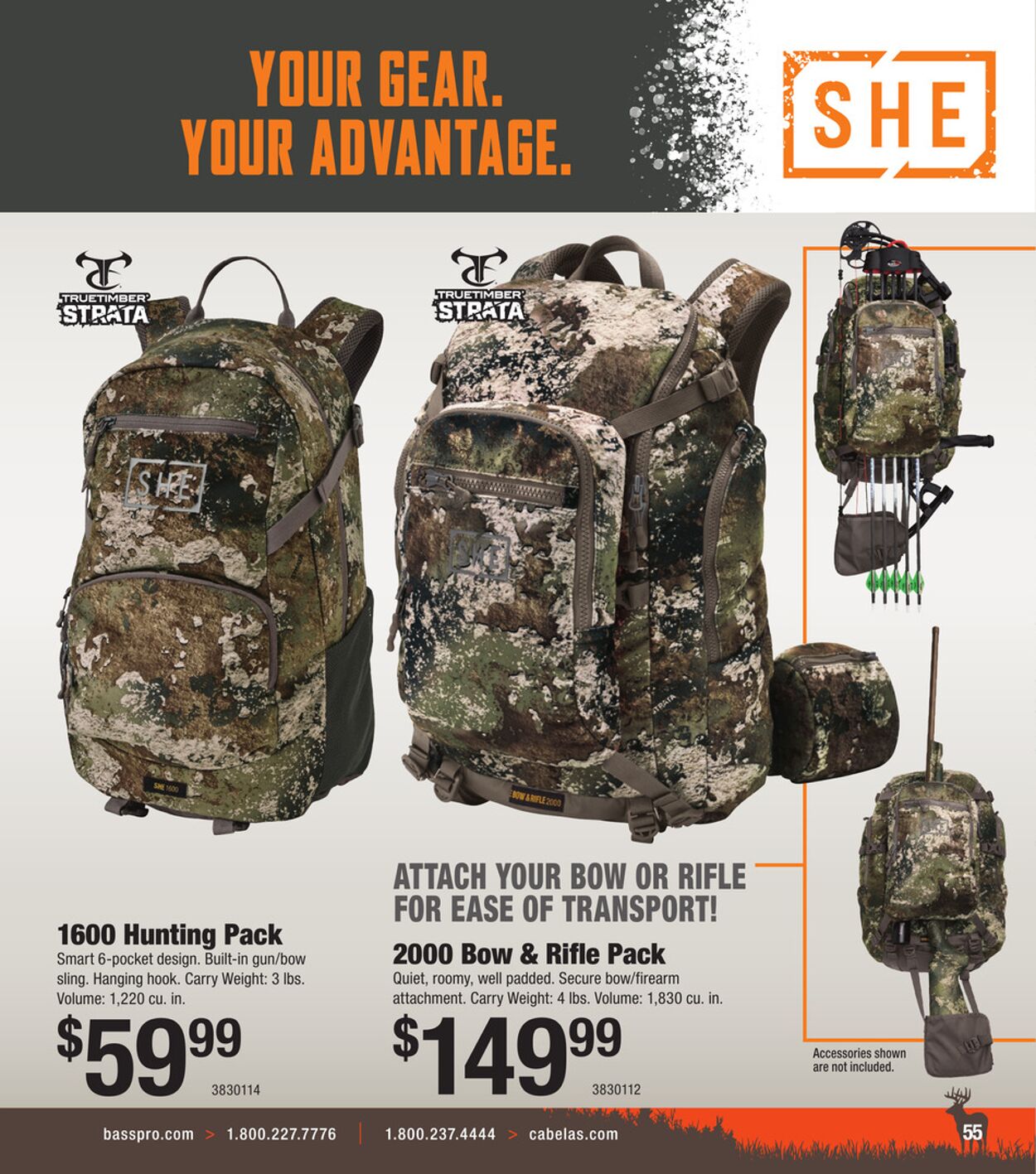 Catalogue Cabela's from 08/31/2025