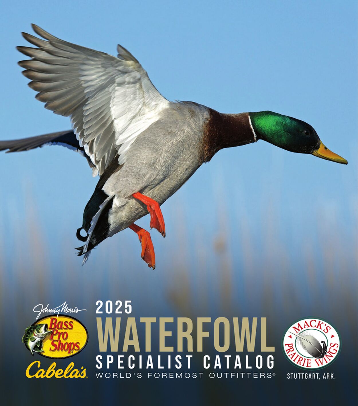Catalogue Cabela's from 10/01/2025