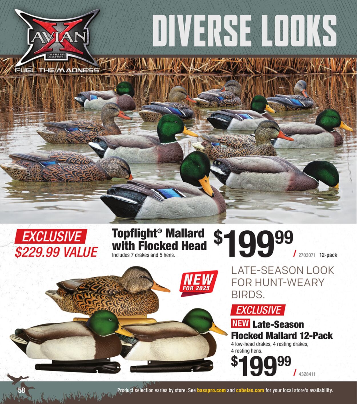 Catalogue Cabela's from 10/01/2025