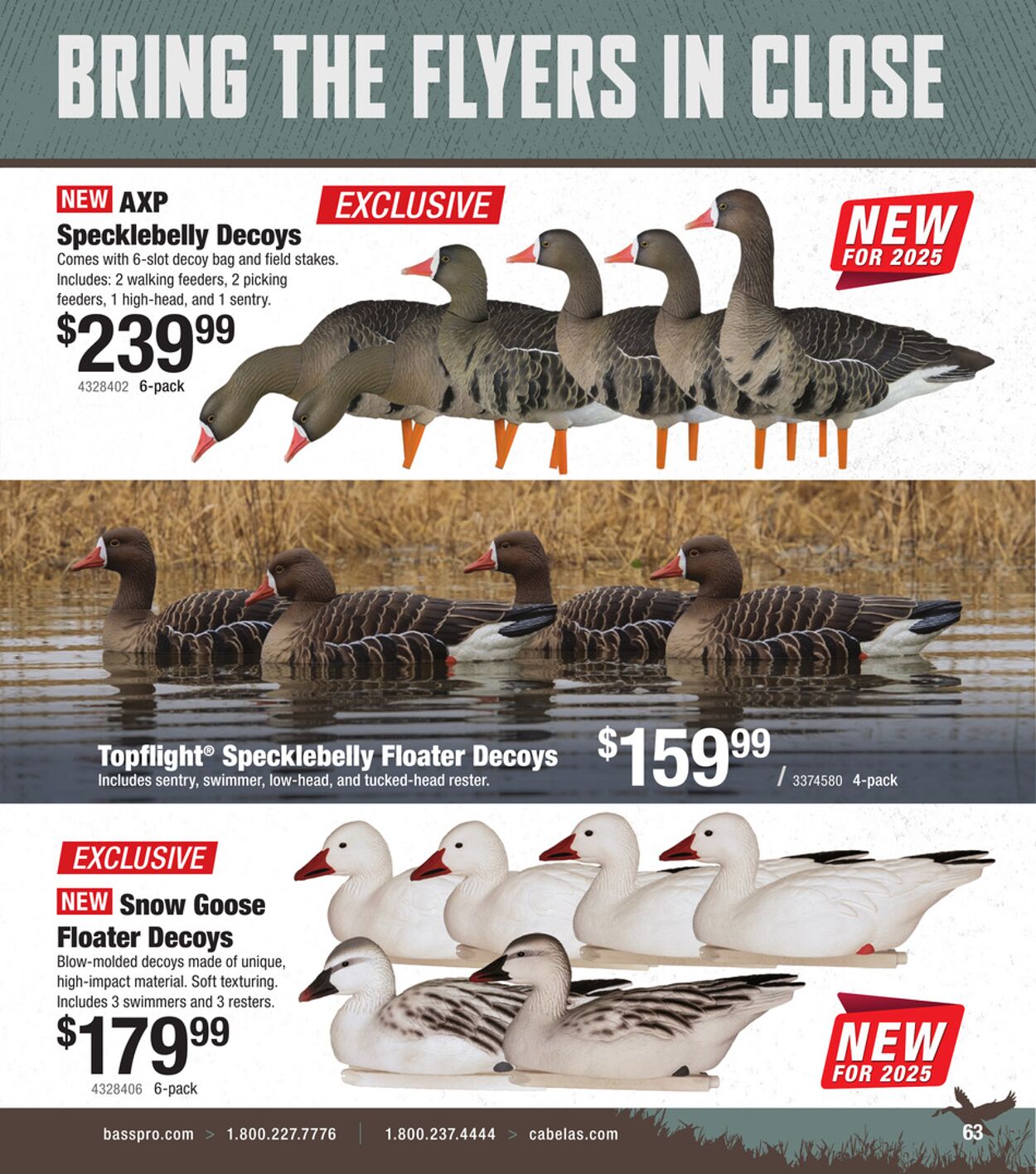 Catalogue Cabela's from 10/01/2025