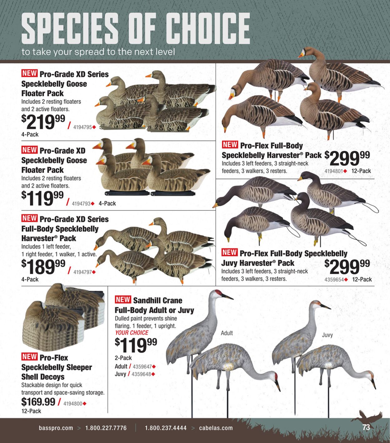 Catalogue Cabela's from 10/01/2025