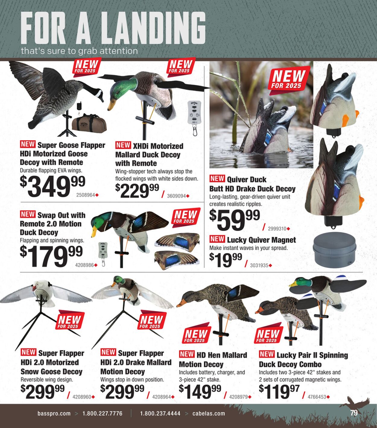Catalogue Cabela's from 10/01/2025