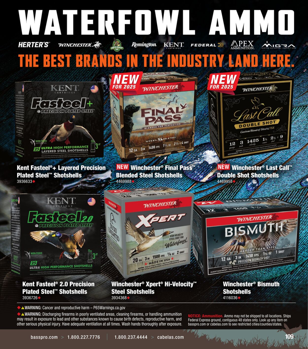 Catalogue Cabela's from 10/01/2025