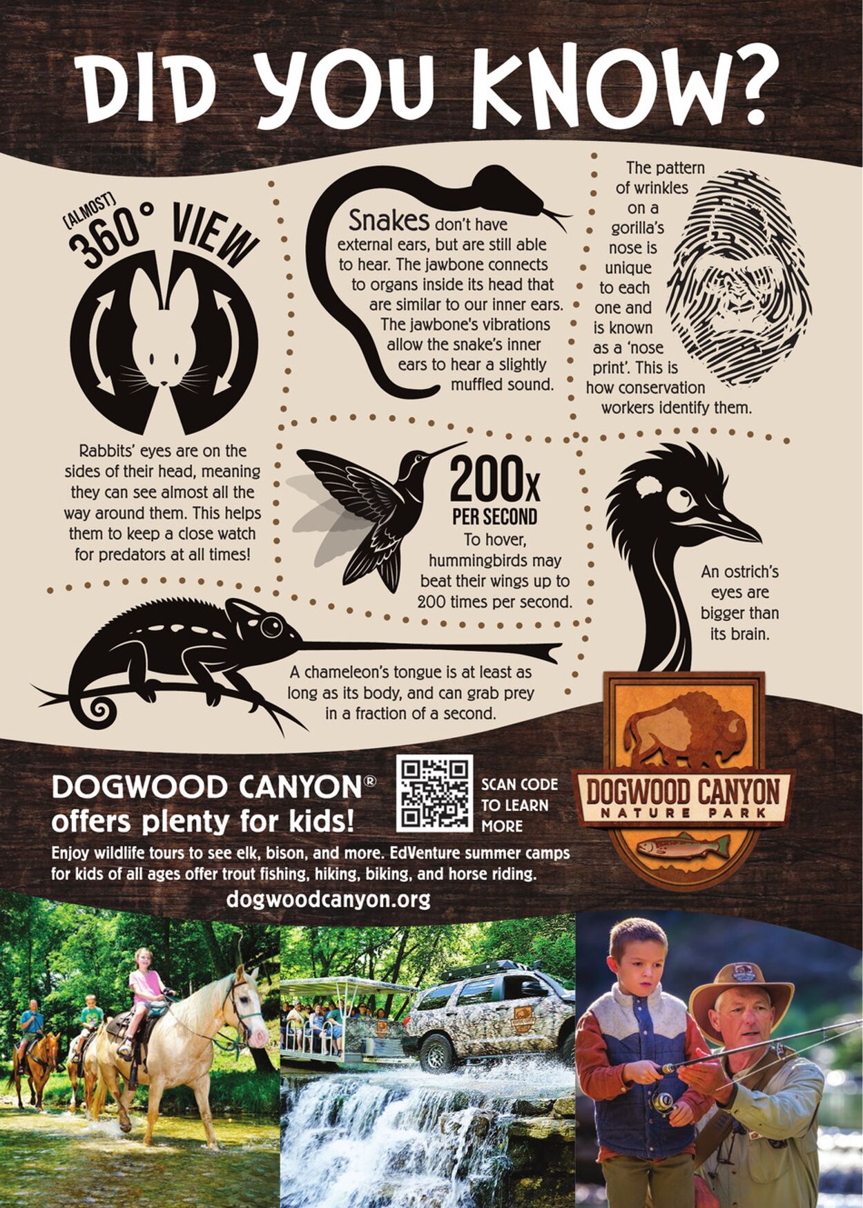 Catalogue Cabela's from 10/31/2025