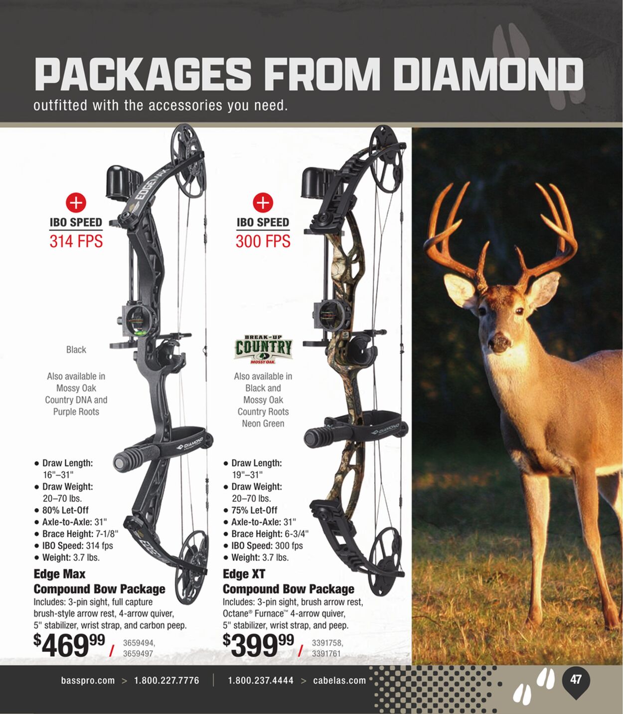 Catalogue Cabela's from 07/31/2024