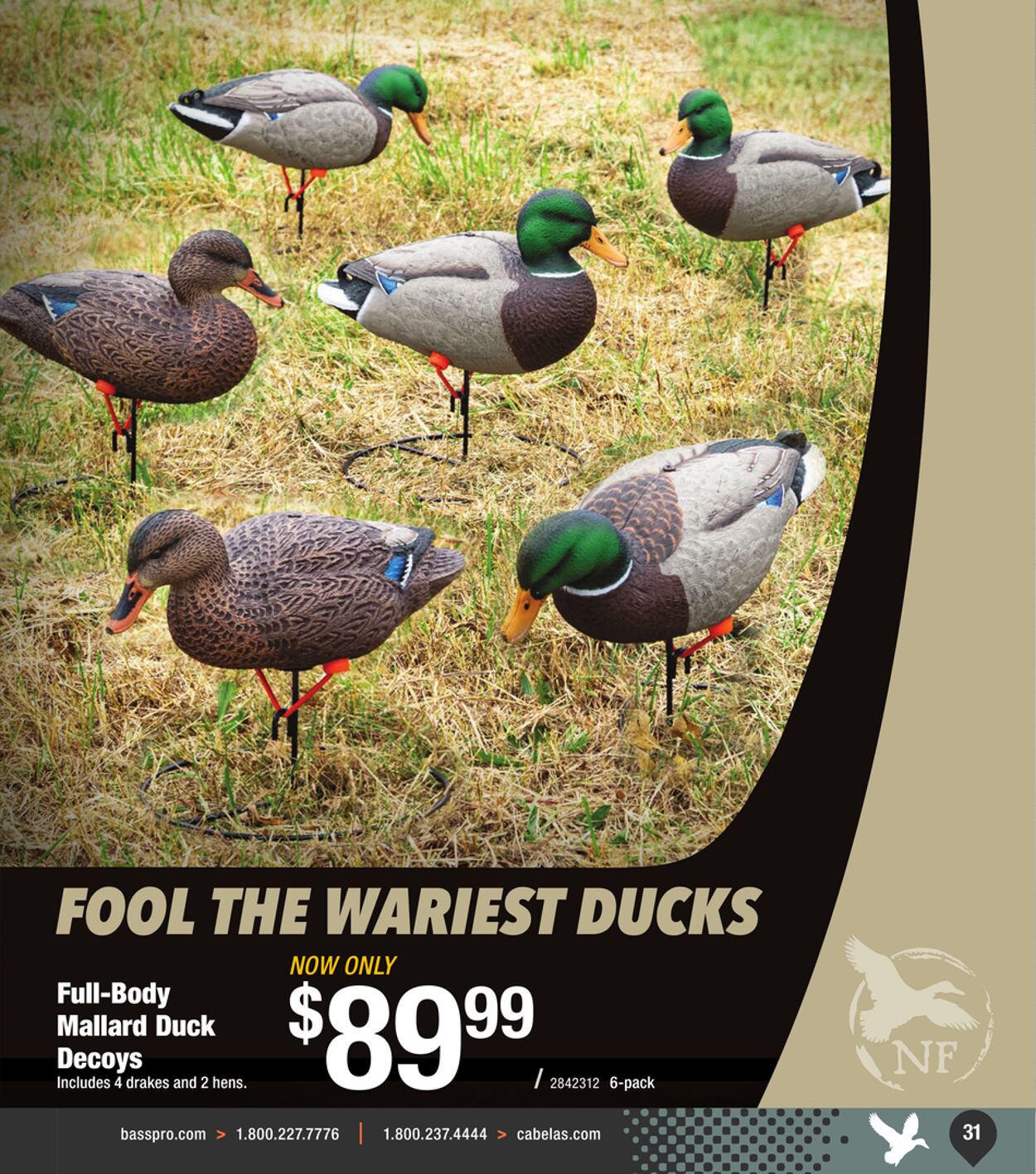 Catalogue Cabela's from 09/25/2024