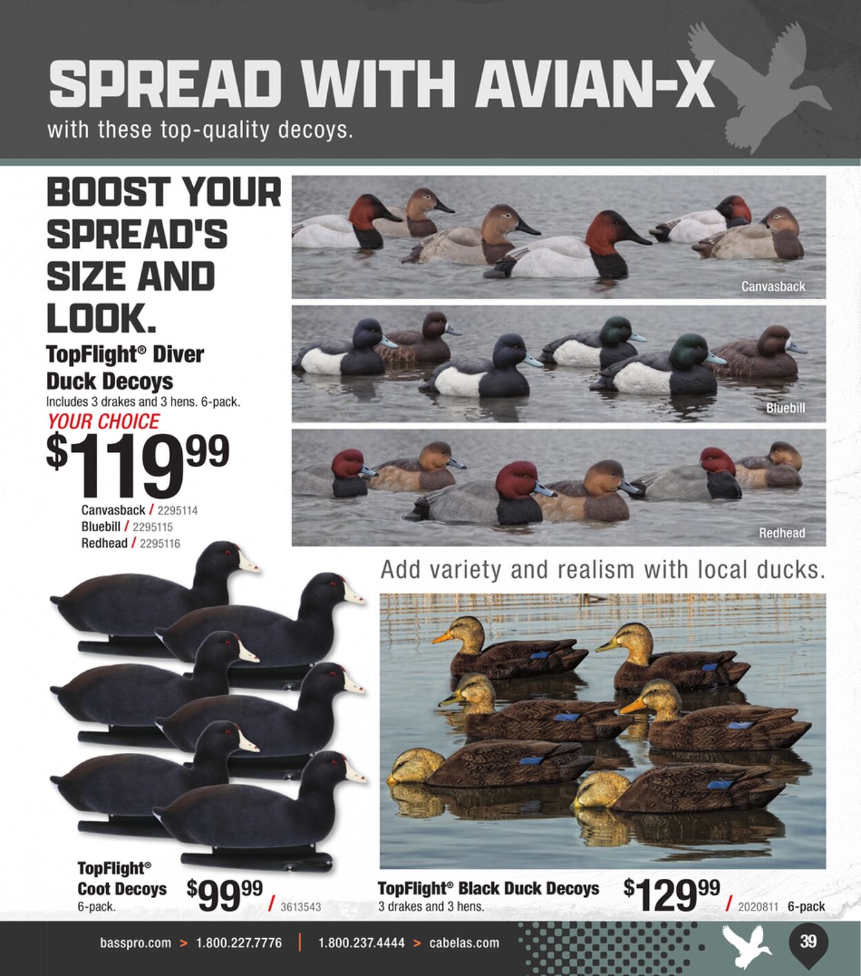 Catalogue Cabela's from 09/25/2024