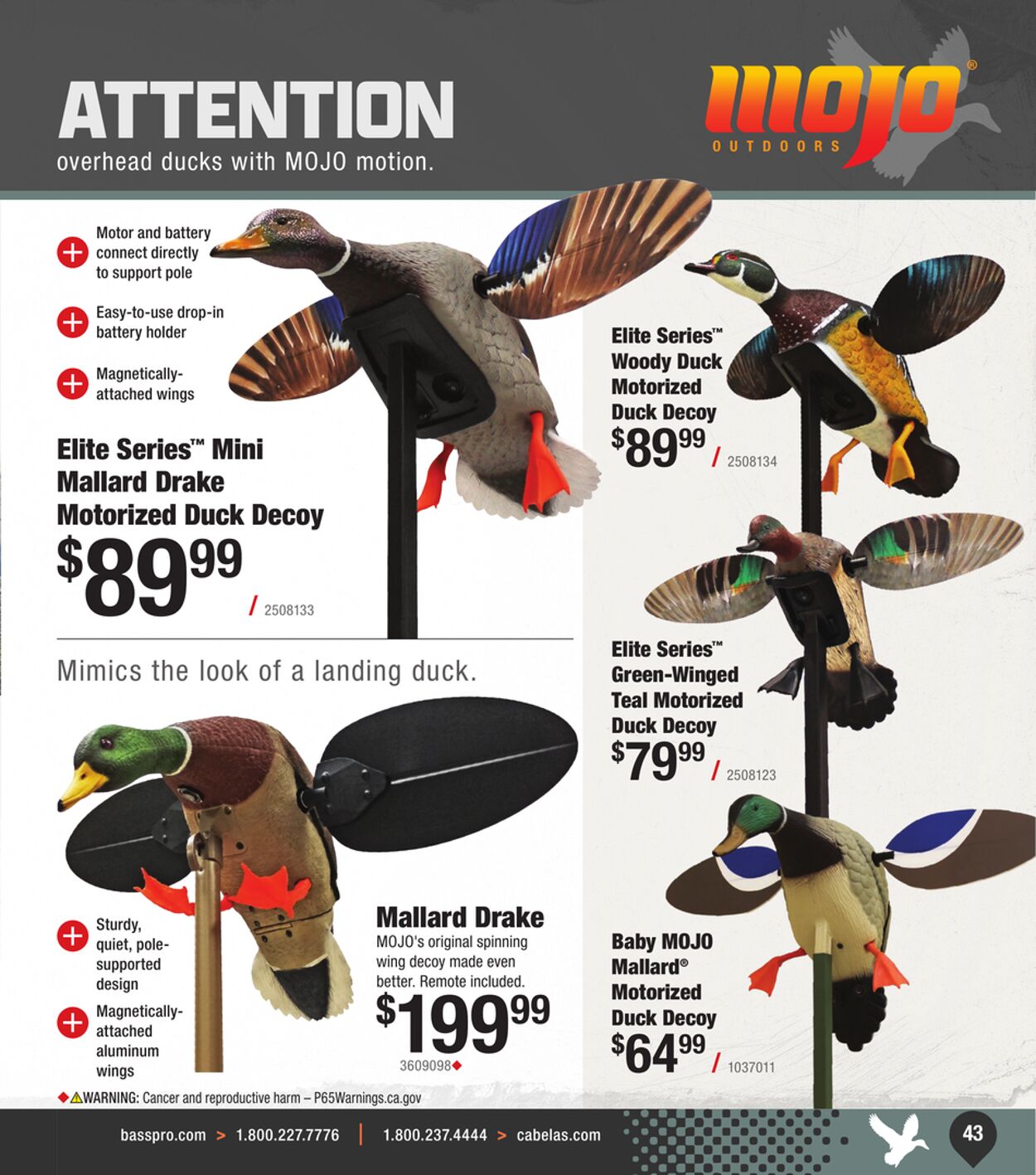 Catalogue Cabela's from 09/25/2024