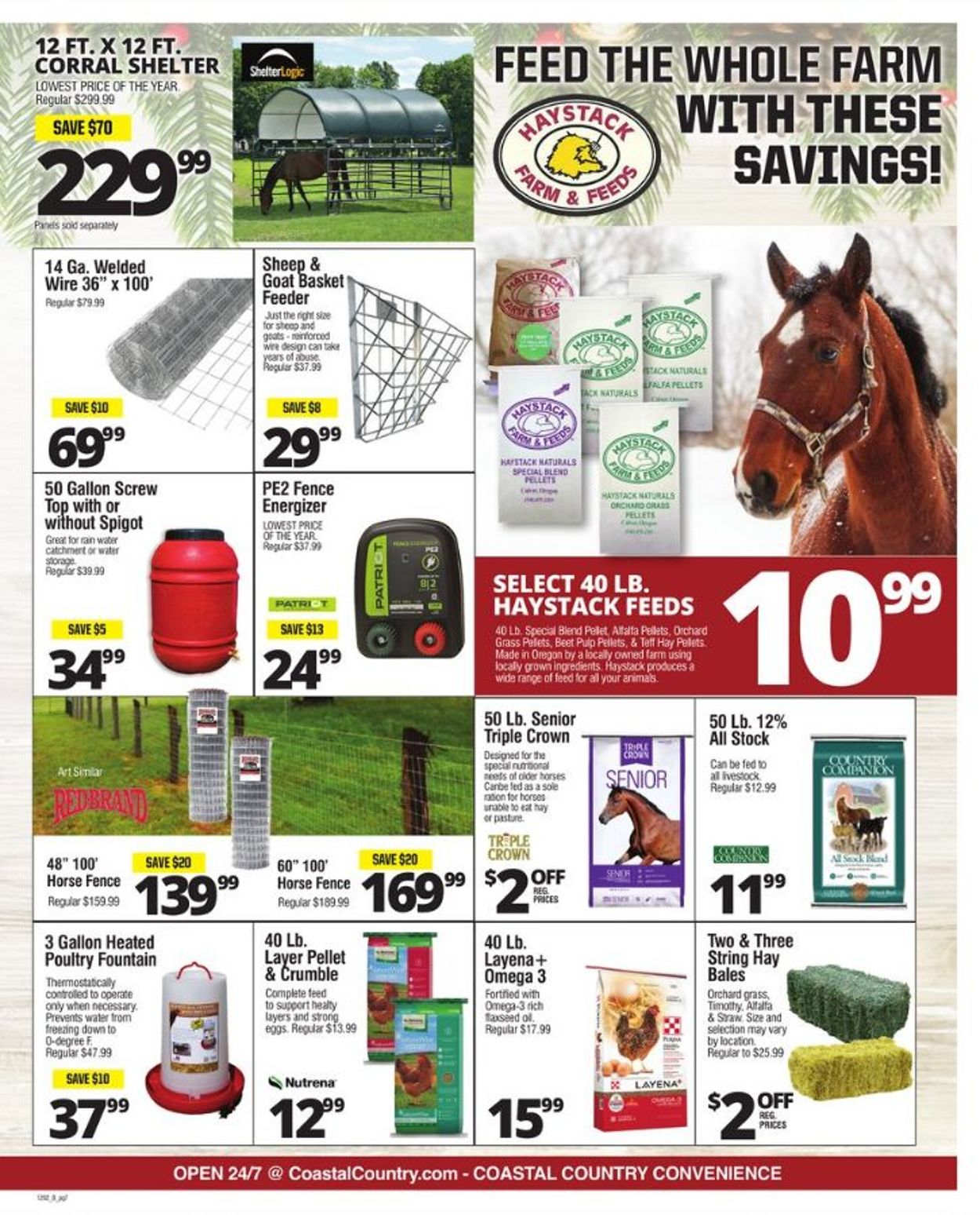 Coastal Farm & Ranch - Holiday 2020 Current weekly ad 12/02 - 12/08 ...