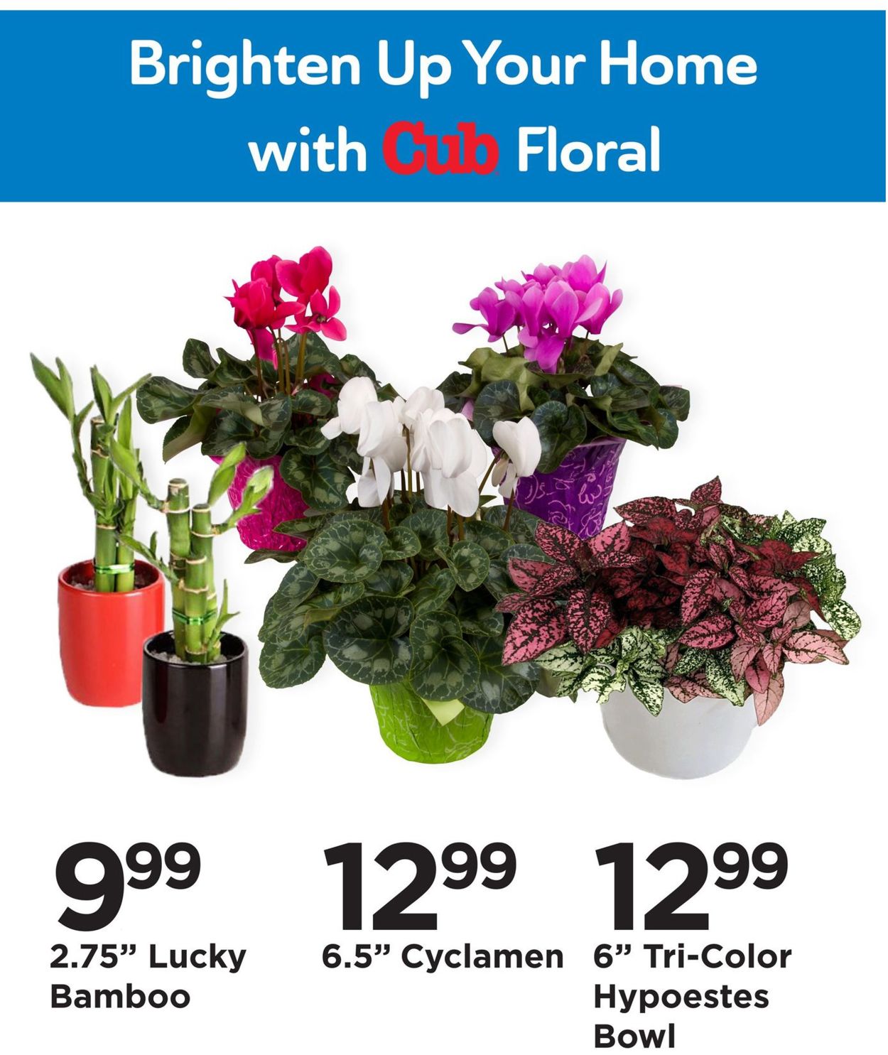 Catalogue Cub Foods Floral Department 2021 from 01/31/2021