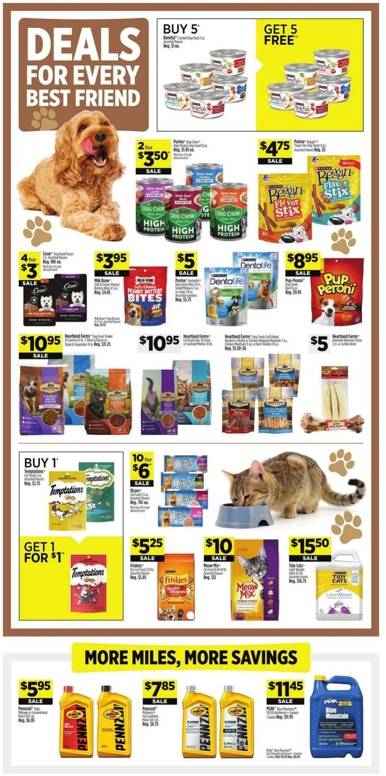 Catalogue Dollar General from 12/22/2024