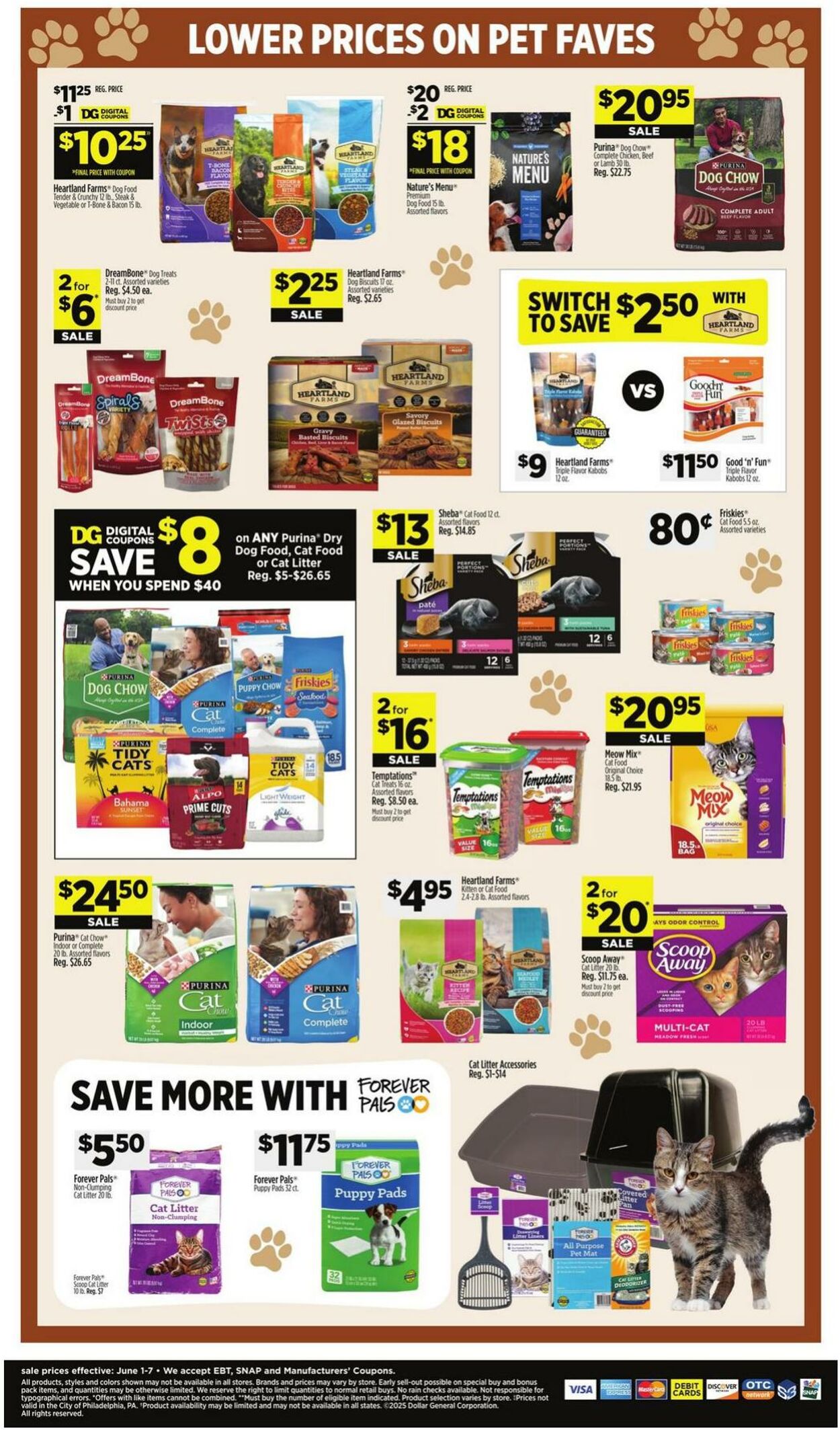 Catalogue Dollar General from 06/01/2025