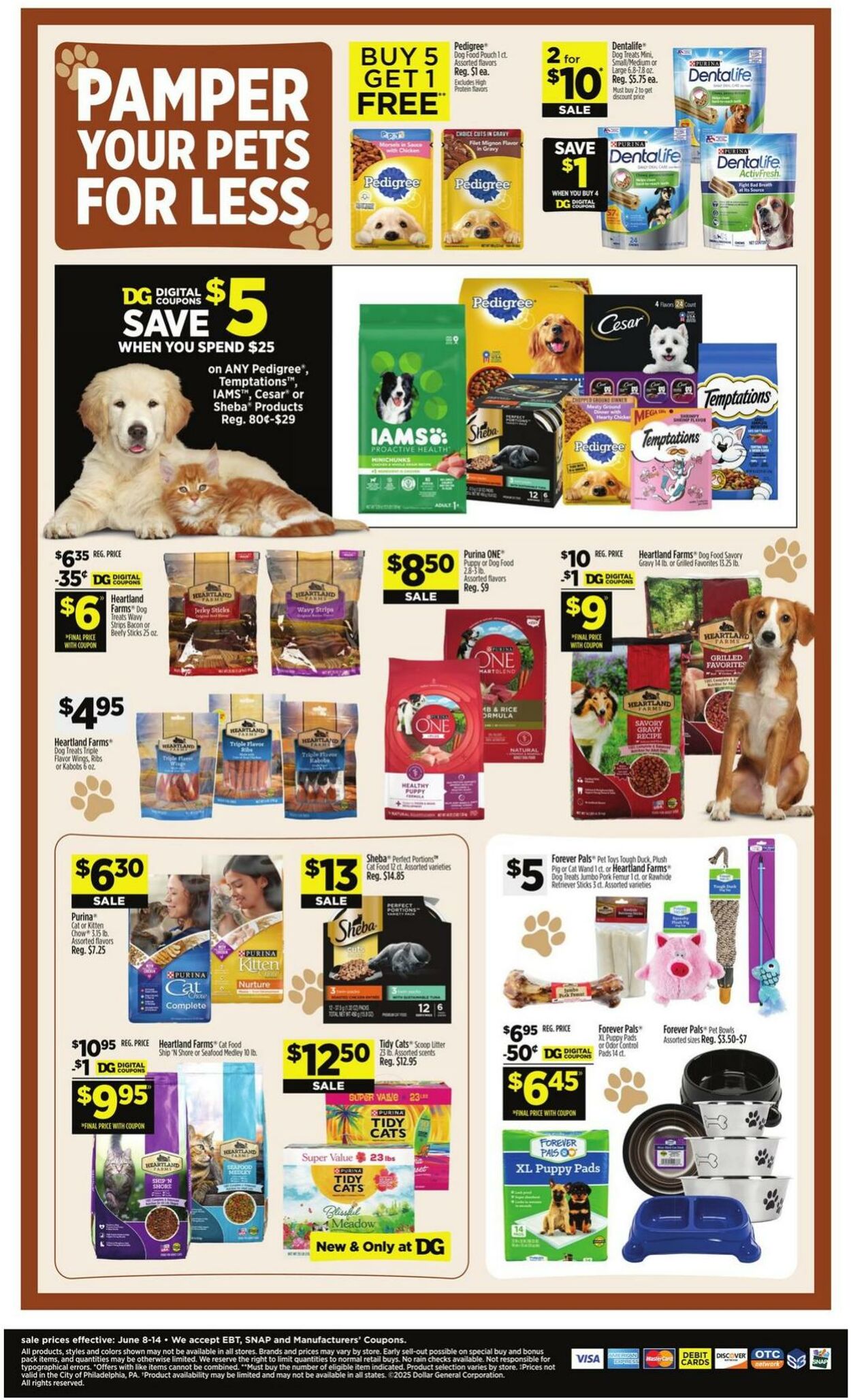 Catalogue Dollar General from 06/08/2025