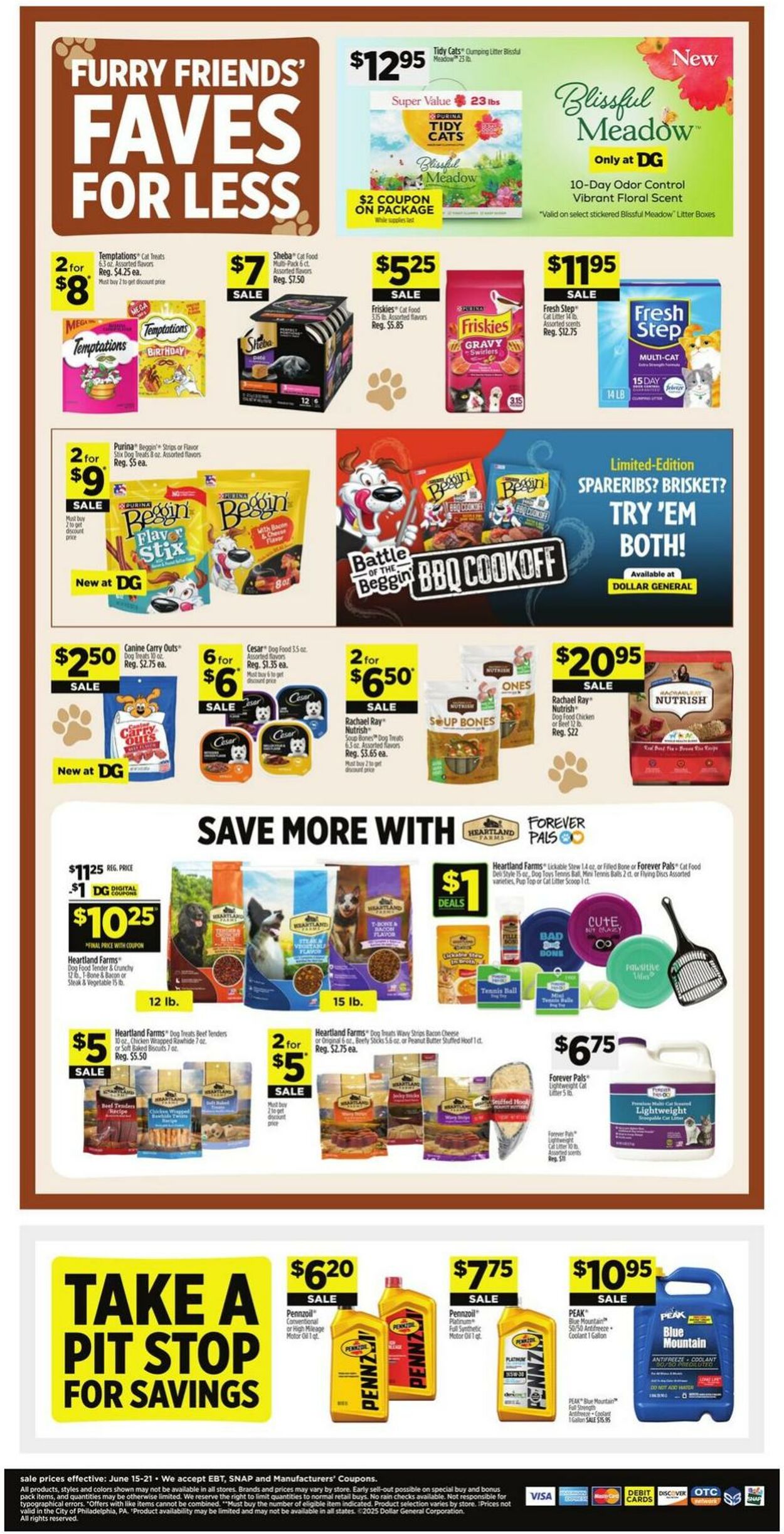 Catalogue Dollar General from 06/15/2025