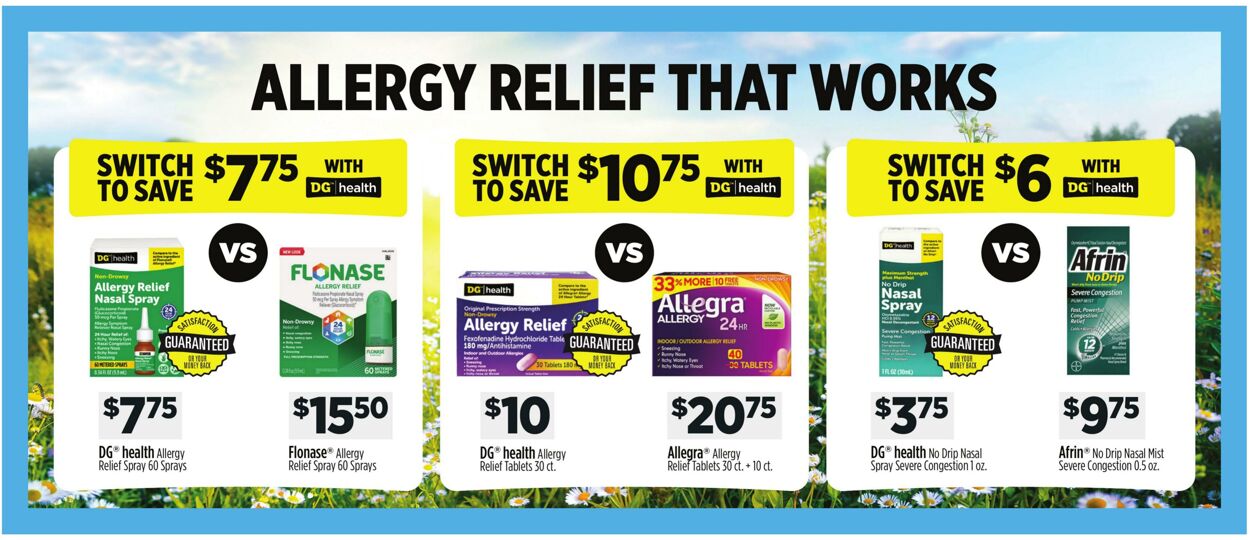 Catalogue Dollar General from 06/29/2025