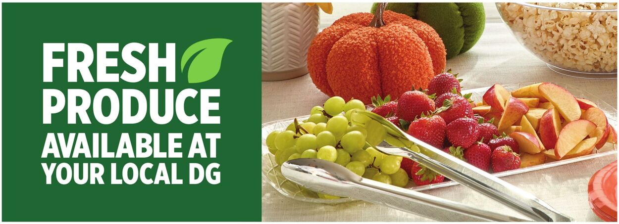 Catalogue Dollar General from 11/02/2025