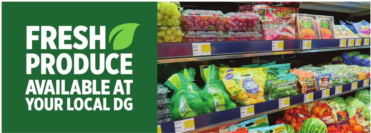 Catalogue Dollar General from 02/15/2026