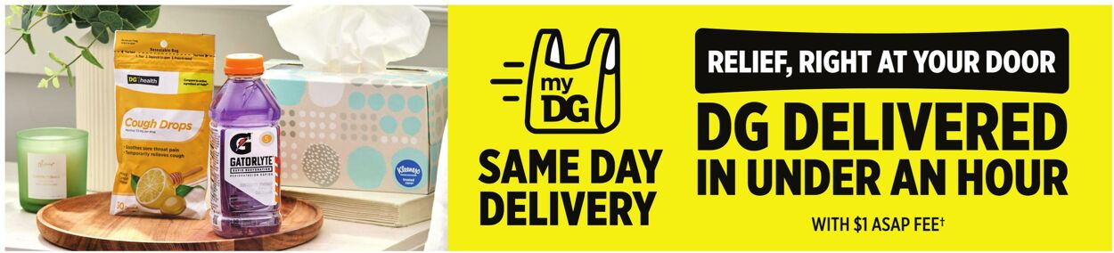 Catalogue Dollar General from 02/22/2026