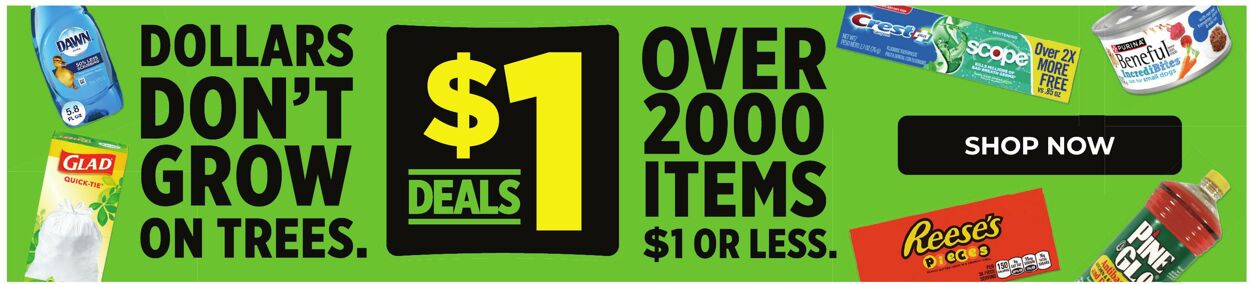 Catalogue Dollar General from 03/08/2026