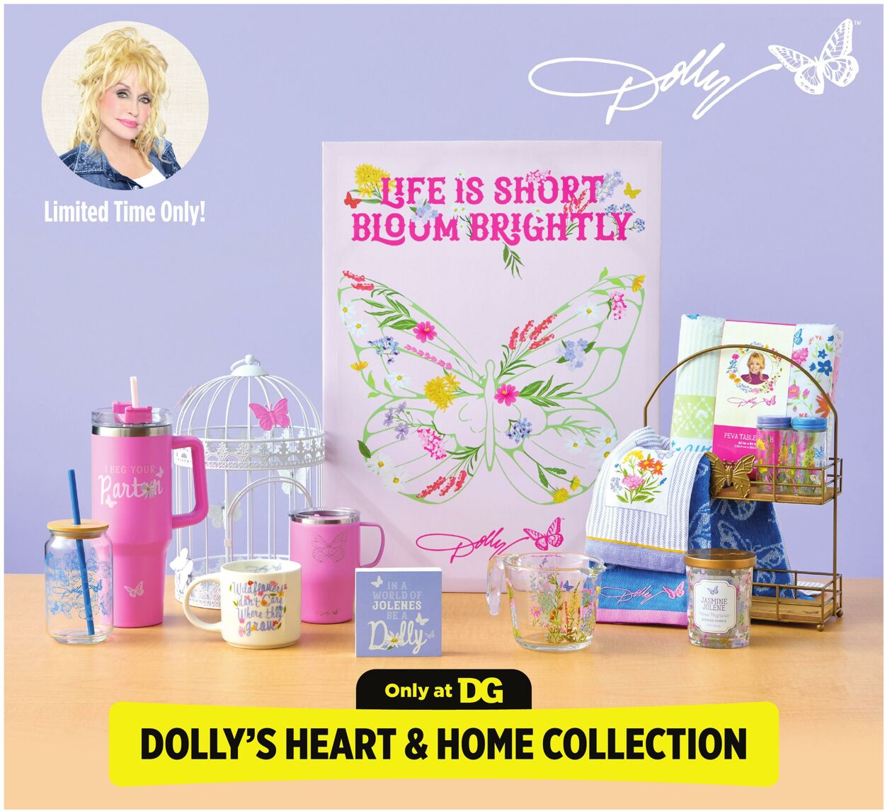 Catalogue Dollar General from 03/08/2026