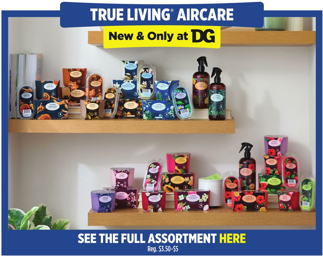 Catalogue Dollar General from 03/15/2026