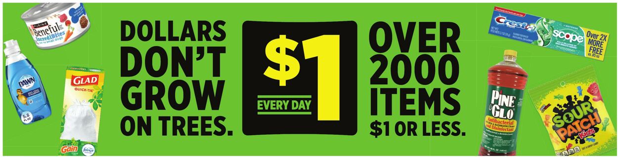 Catalogue Dollar General from 06/14/2026