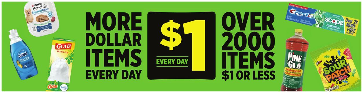 Catalogue Dollar General from 08/16/2026