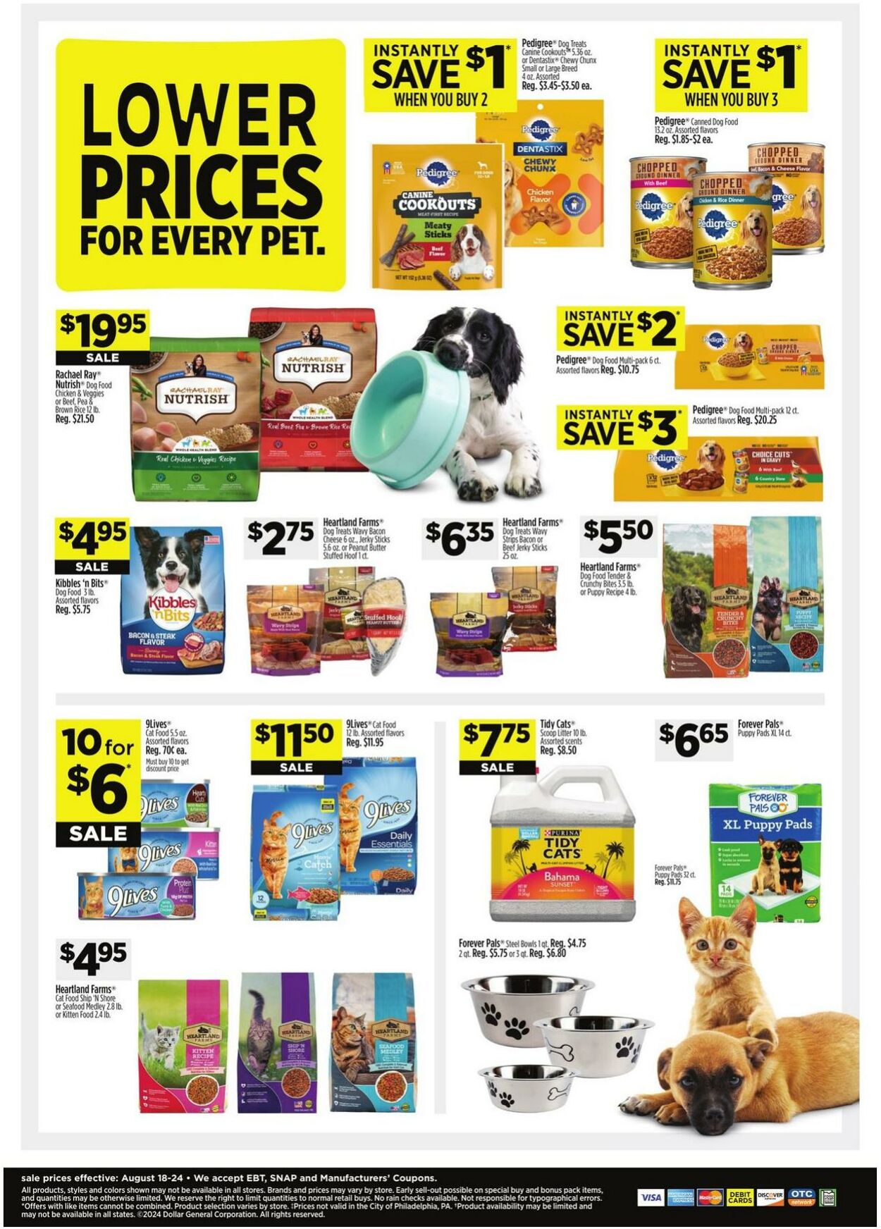 Catalogue Dollar General from 08/18/2024