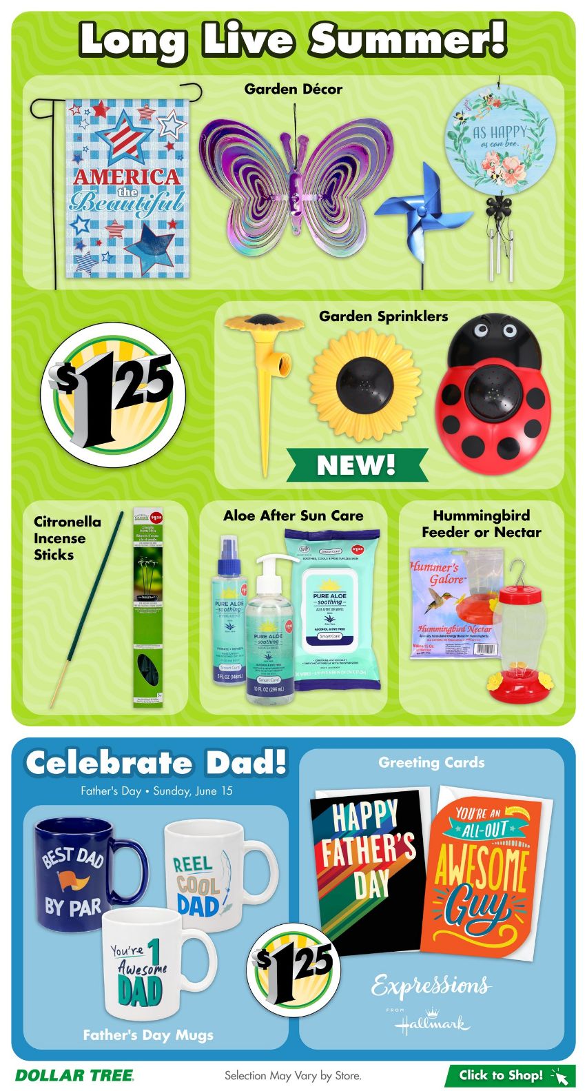 Catalogue Dollar Tree from 05/12/2025