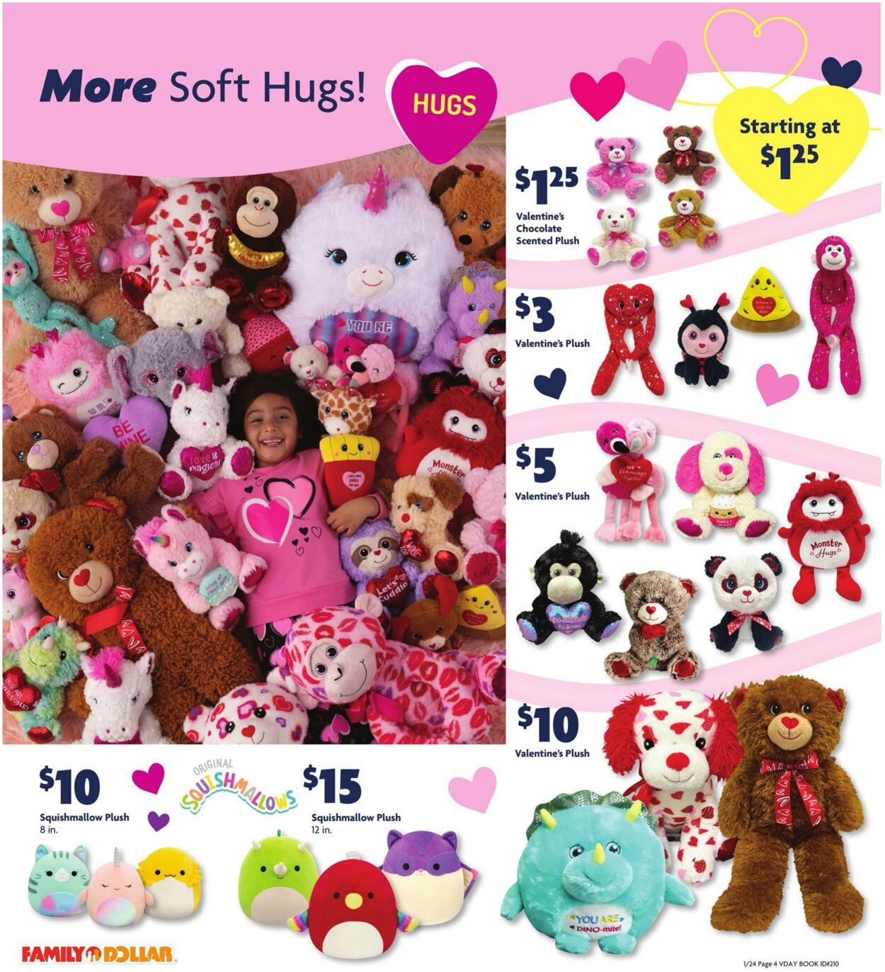 Catalogue Family Dollar from 01/24/2025