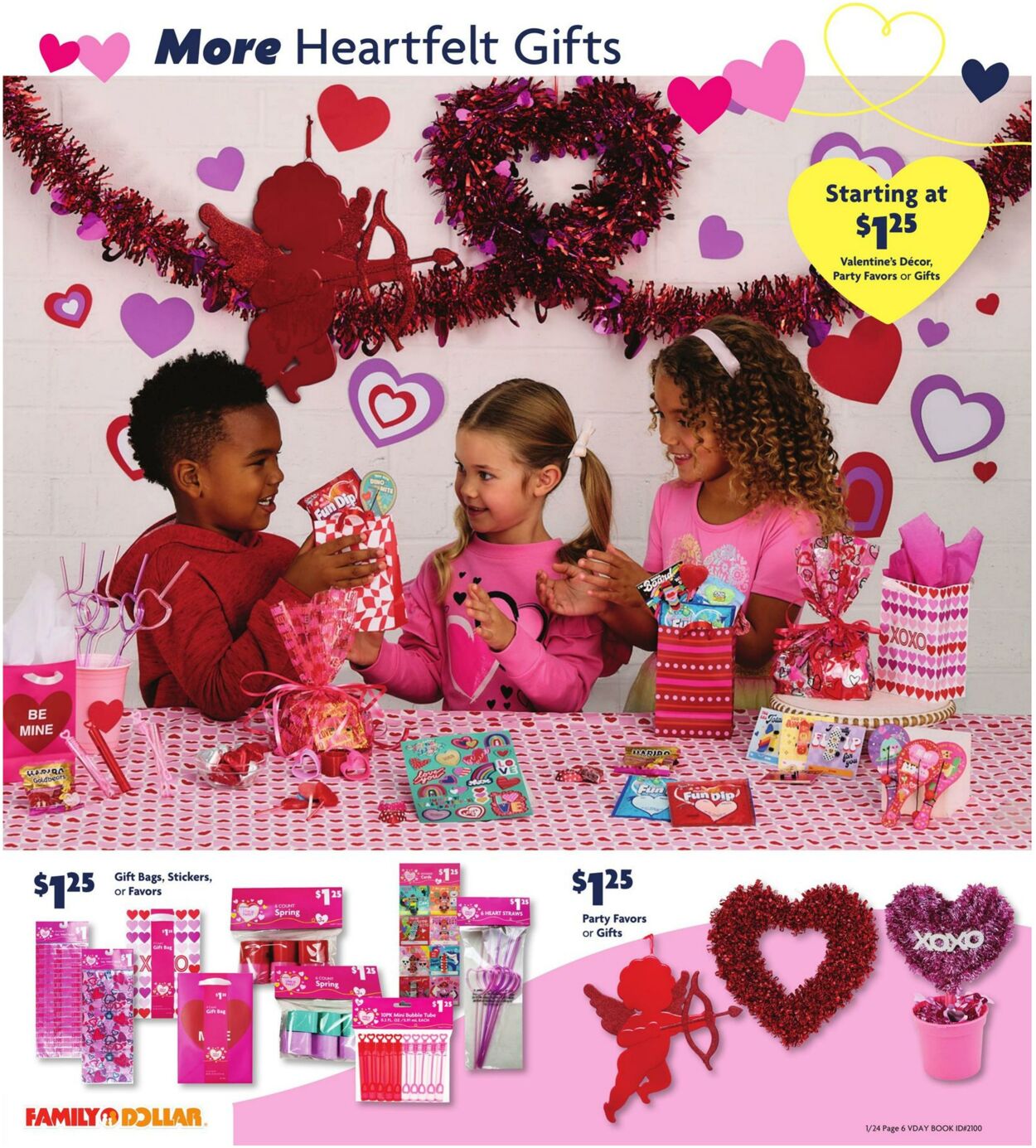 Catalogue Family Dollar from 01/24/2025